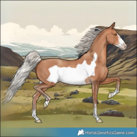 Horse Color:Silver Sable Champagne Frame 