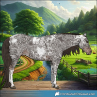 Horse Color:Liver Chestnut Ice Tobiano