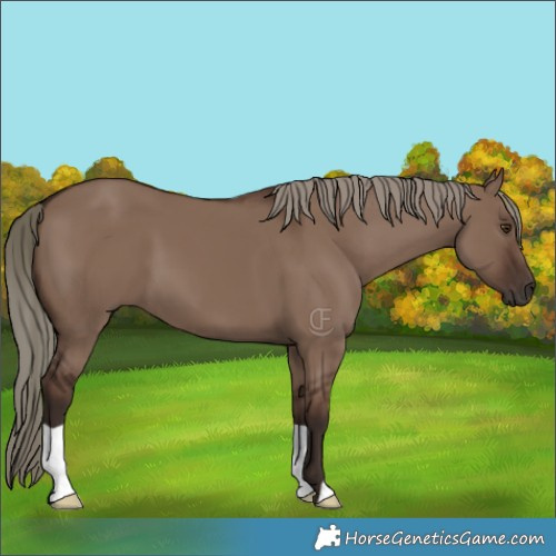 Horse Color:Liver Red Dun Mushroom 