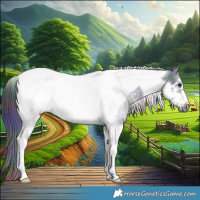 Horse Color:Nacre Black Ice Tobiano Frame 