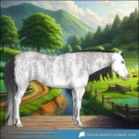 Horse Color:White Spotted Grullo Ice Splash 
