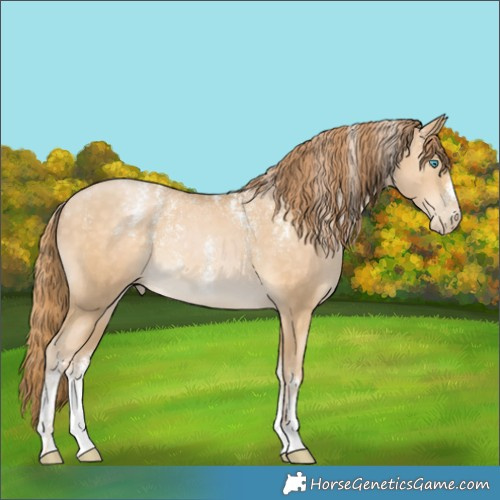 Horse Color:Powder White Buckskin Pearl 