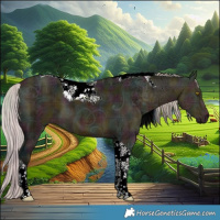 Horse Color:Plaid  Midnight Silver Buckskin Ice Tobiano 