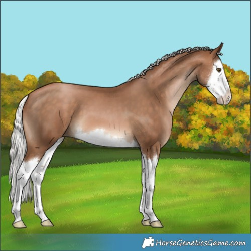 Horse Color:Silver Brown Pearl Splash 