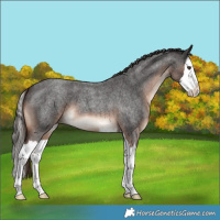 Horse Color:Liver Red Roan Splash