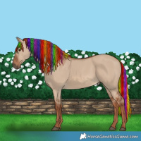 Horse Color:Painted Red Dun