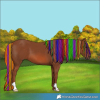 Horse Color:Painted Chestnut