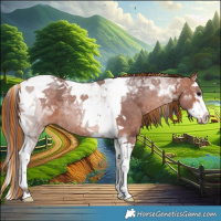 Horse Color:Painted Chocolate Bay Ice Splash Tobiano Rabicano 