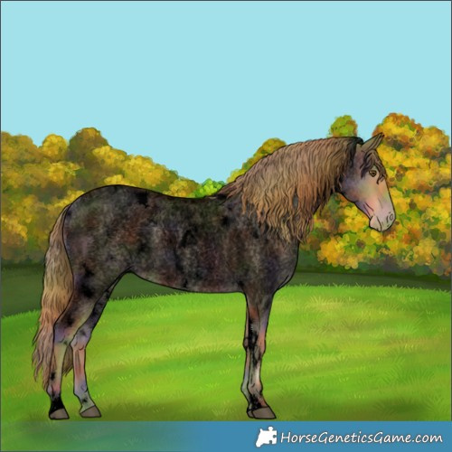 Horse Color:Void Nacre White Spotted Grullo Roan Pearl Rabicano 