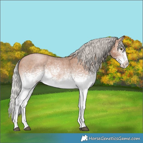 Horse Color:White Spotted Silver Brown Roan Pearl Rabicano 