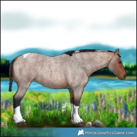 Horse Color:Bay Roan Tobiano Rabicano 