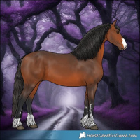Horse Color:Bay 