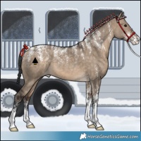 Horse Color:Powder White Brown Dun 