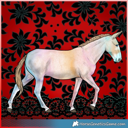 Horse Color:Red Dun Roan Splash Frame Rabicano 