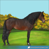 Horse Color:Brown 