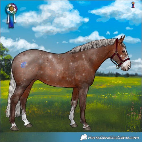 Horse Color:Silver Brown Sabino 