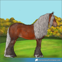 Horse Color:Silver Brown 