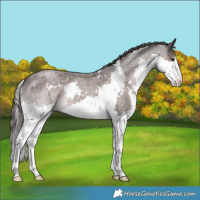 Horse Color:Platinum White Spotted Liver Red Roan Splash 