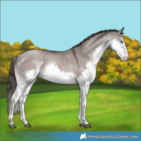 Horse Color:Platinum White Spotted Liver Red Dun Splash Rabicano