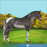 Horse Color:Platinum Silver Brown Tobiano Rabicano