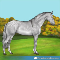 Horse Color:Platinum White Spotted Silver Buckskin Dun Tobiano 