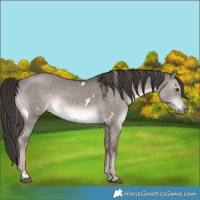 Horse Color:Platinum White Spotted Liver Red Dun 