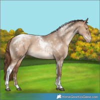Horse Color:Brown Pearl Dun Tobiano Snowflake Varnish 