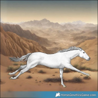 Horse Color:Gray Grullo Sabino Tobiano Rabicano 