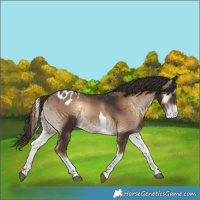 Horse Color:Liver Red Onyx Tobiano Varnish 