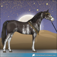 Horse Color:White Spotted Liver Chestnut 