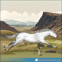 Horse Color:Gray Brown Dun Tobiano 