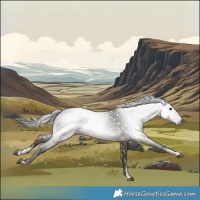 Horse Color:Gray Brown Dun Sabino Rabicano 