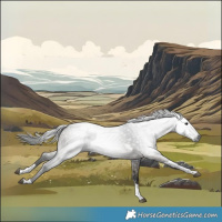 Horse Color:Gray Grullo Tobiano Rabicano 