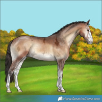 Horse Color:Bay Ice Onyx 