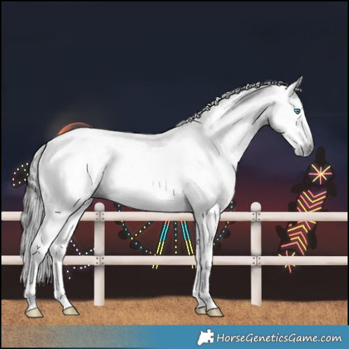 Horse Color:Gray White Spotted Black Splash Near Fewspot 