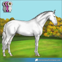 Horse Color:Gray Gold Cream Champagne Tobiano Frame Appaloosa 