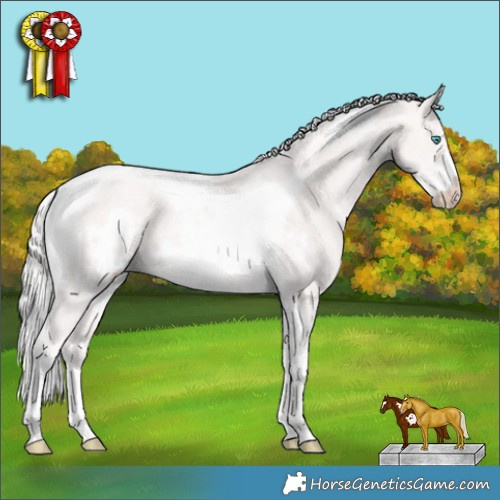 Horse Color:Cremello Sabino Tobiano Frame 