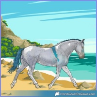 Horse Color:Watercolor Liver Red Dun Tobiano Rabicano 