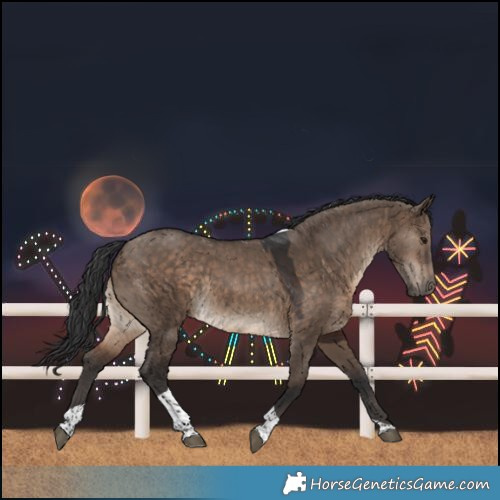 Horse Color:Brown Dun Tobiano Rabicano 