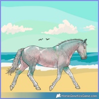 Horse Color:Watercolor Chocolate Palomino Dun Tobiano Rabicano 