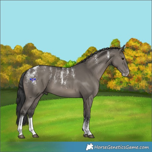 Horse Color:Powder White White Spotted Grullo 