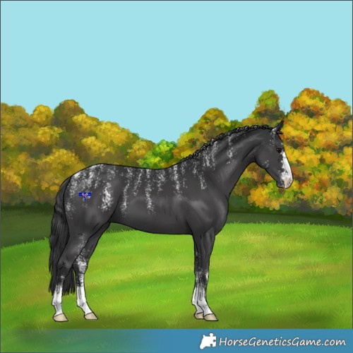 Horse Color:Powder White Black 