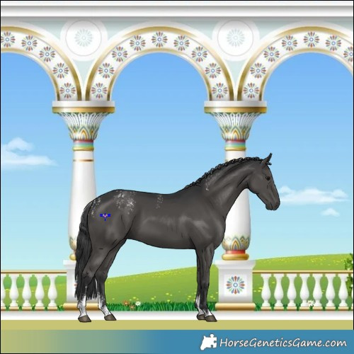 Horse Color:Powder White Black 
