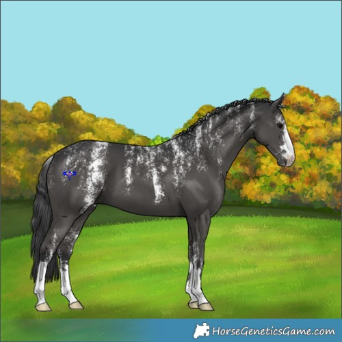 Horse Color:Powder White Black 