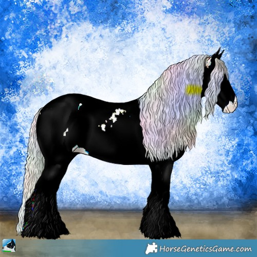 Horse Color:Nacre Plaid  Silver Bay Splash Tobiano Appaloosa 