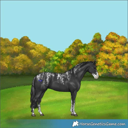 Horse Color:Powder White Black 