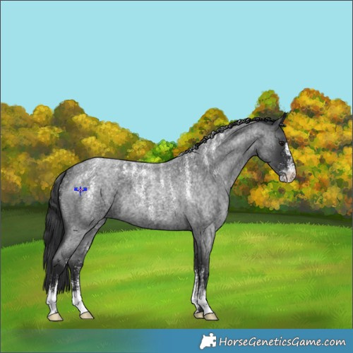 Horse Color:Powder White Blue Roan 
