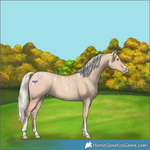 Horse Color:Powder White Silver Classic Champagne Dun 