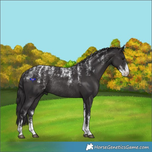 Horse Color:Powder White Smoky Black Rabicano 
