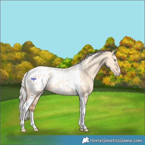 Horse Color:Powder White Silver Amber Champagne Dun Tobiano Blanket Rabicano 